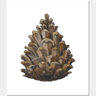 Pinecone Posters and Art